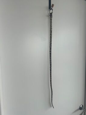 GUESS Leopard-Print Slim Belt - Tan/Black